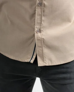 Sun Valley Asasha Sable Doré New