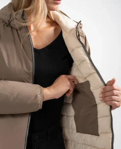 Sun Valley Yattax Chataigne Cheap